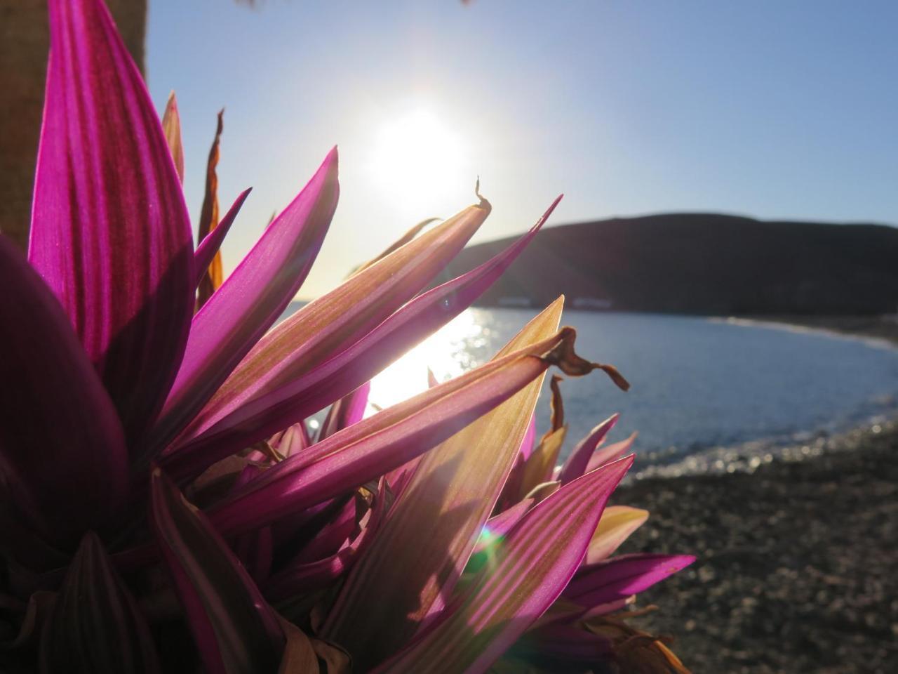 Cala Giniginámar
